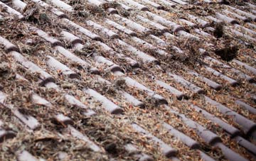 Trelystan roof cleaning companies