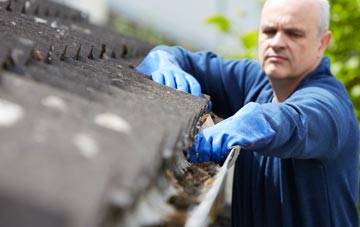 cleaning and inspecting Trelystan roofs