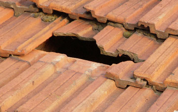 roof repair Trelystan, Powys