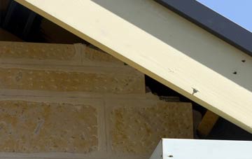 soffit repair Trelystan