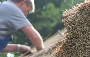 professional Trelystan thatchers