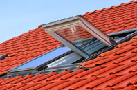 Trelystan roof window