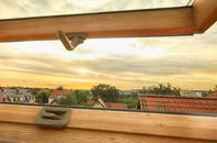 rated Trelystan roof window companies